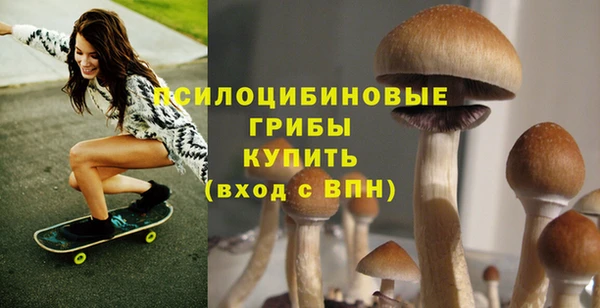бошки Заволжск