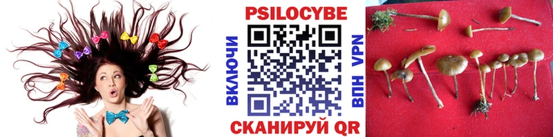 Купить  Дагестанские Огни  Псилоцибиновые грибы MAGIC MUSHROOMS 